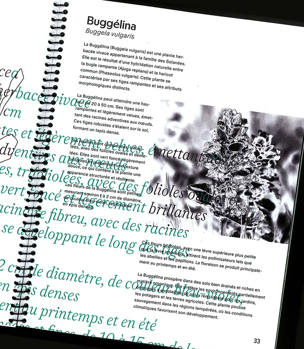 création identité visuelle et support de communication | Studio de création graphique & Atelier d'exploration - Graphiste à Marseille