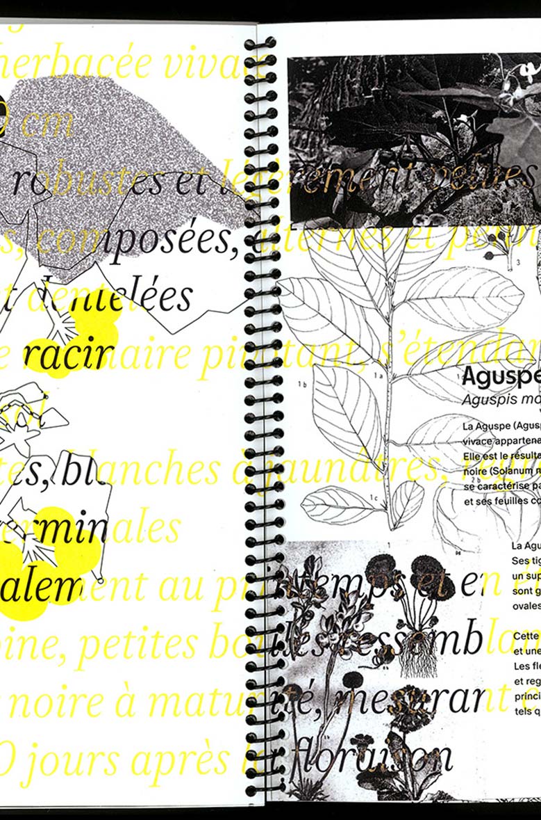 création identité visuelle et support de communication | Studio de création graphique & Atelier d'exploration - Graphiste à Marseille