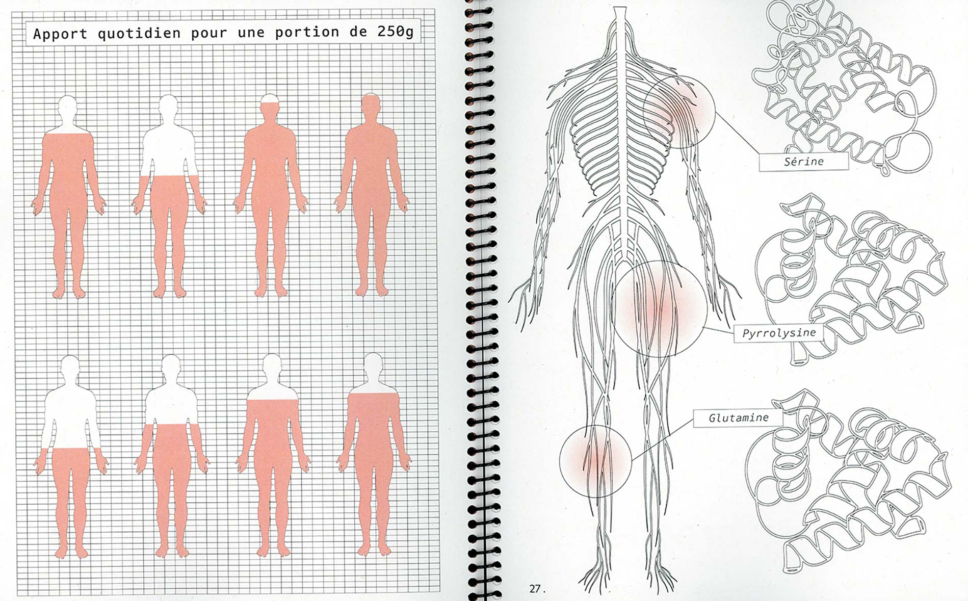 création identité visuelle et support de communication | Studio de création graphique & Atelier d'exploration - Graphiste à Marseille