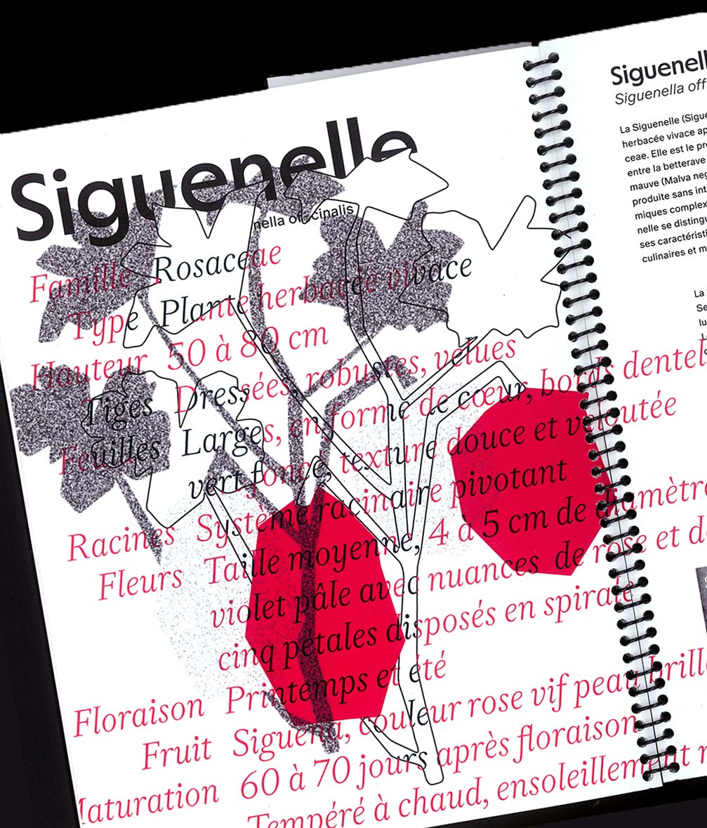 création identité visuelle et support de communication | Studio de création graphique & Atelier d'exploration - Graphiste à Marseille