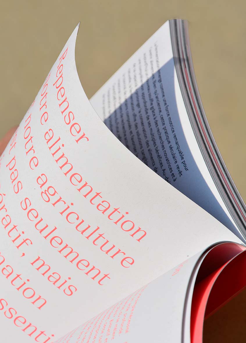 création identité visuelle et support de communication | Studio de création graphique & Atelier d'exploration - Graphiste à Marseille