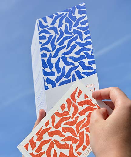 Studio de création graphique & Atelier d'exploration - Graphiste à Marseille, Studio 16.8 - Marine Terrin Sarah Hornain - projet-couv