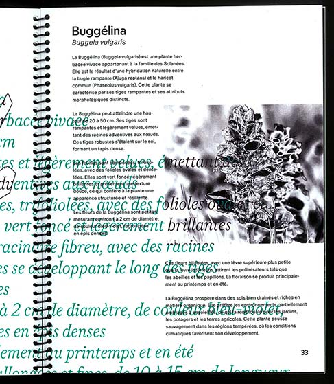 Studio de création graphique & Atelier d'exploration - Graphiste à Marseille, Studio 16.8 - Marine Terrin Sarah Hornain - projet-couv